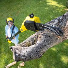 Best Utility Line Clearance  in Pion Hills, CA